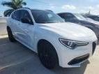 ALFA ROMEO STELVIO 2021 ZASPAKBN5M7D18166 image